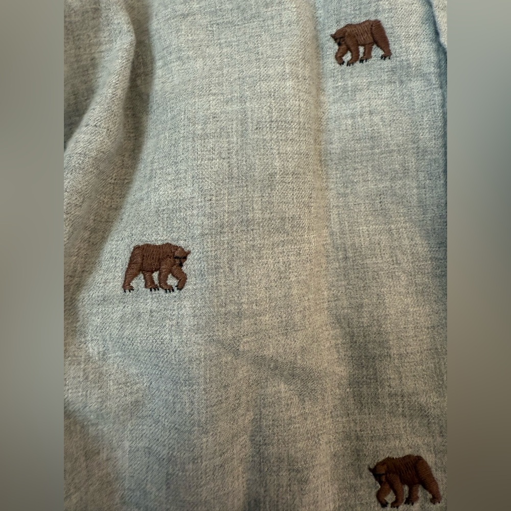 Boys Bear Button Down Shirt Janie and Jack Size 7 - Picture 3 of 4
